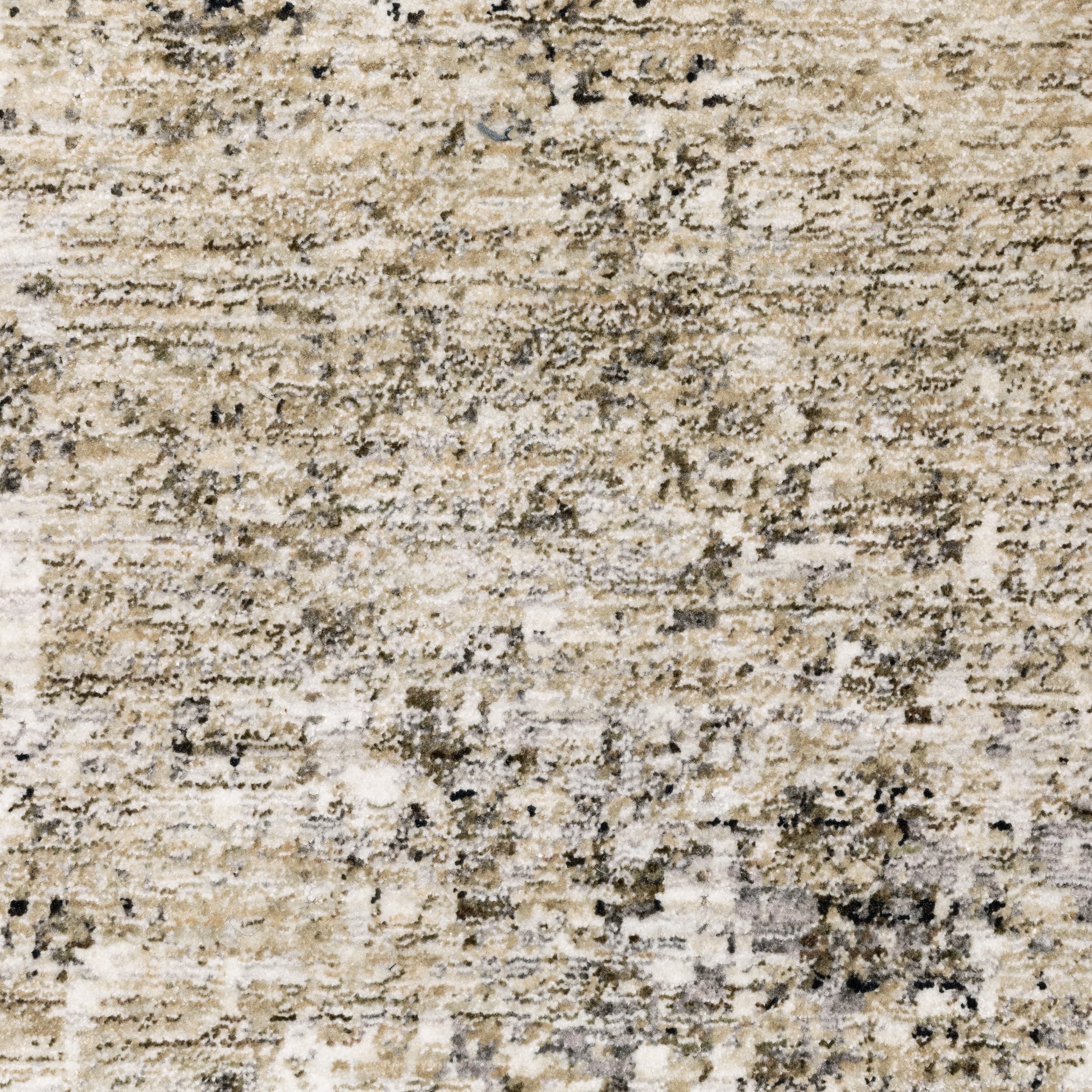 Nebulous 002X9 Beige Distressed Rug