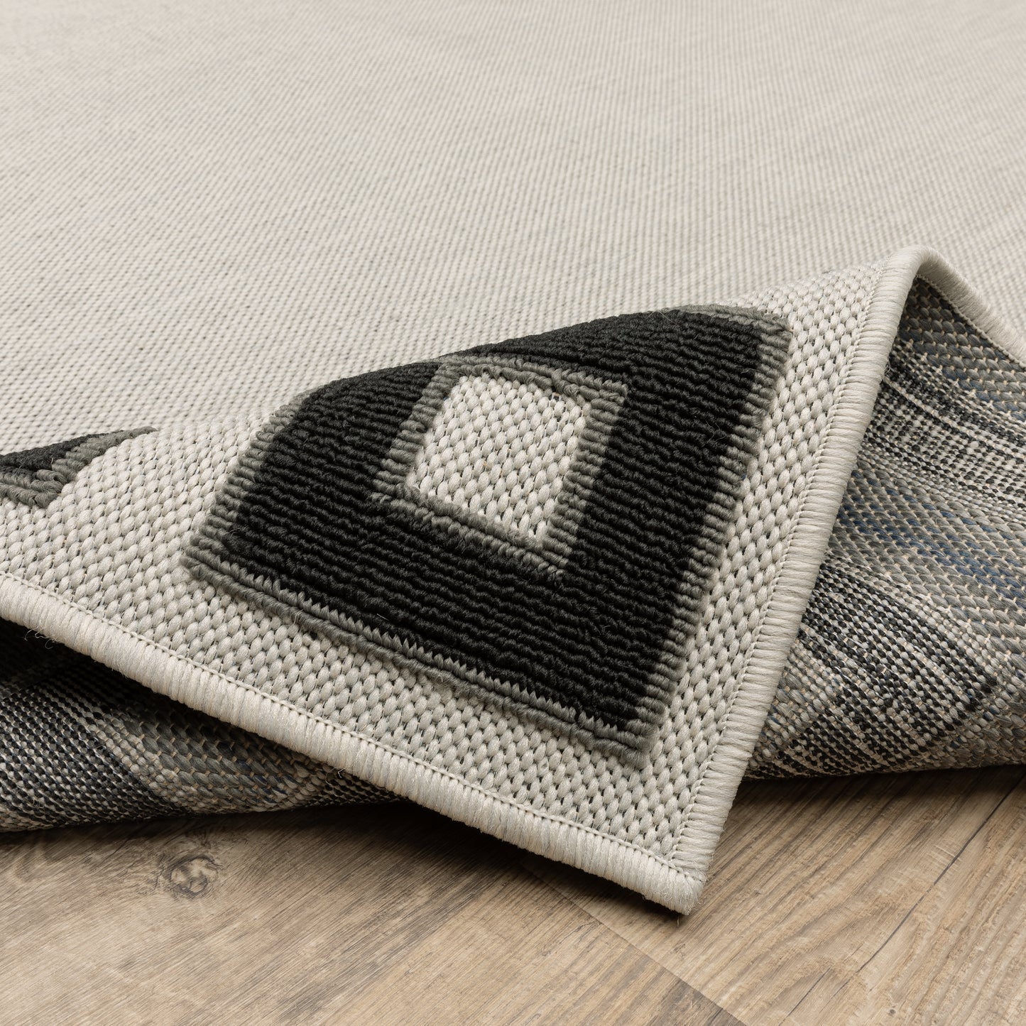 Torrey Outdoor Beige/ Black Border Loop Pile Rug