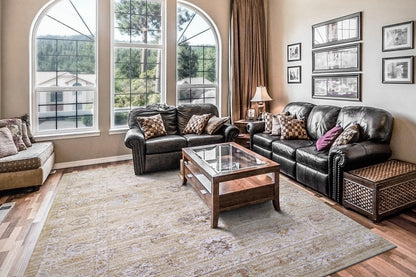 Rojin Transitional Grey/Beige/Multi Oriental Low Pile Rug