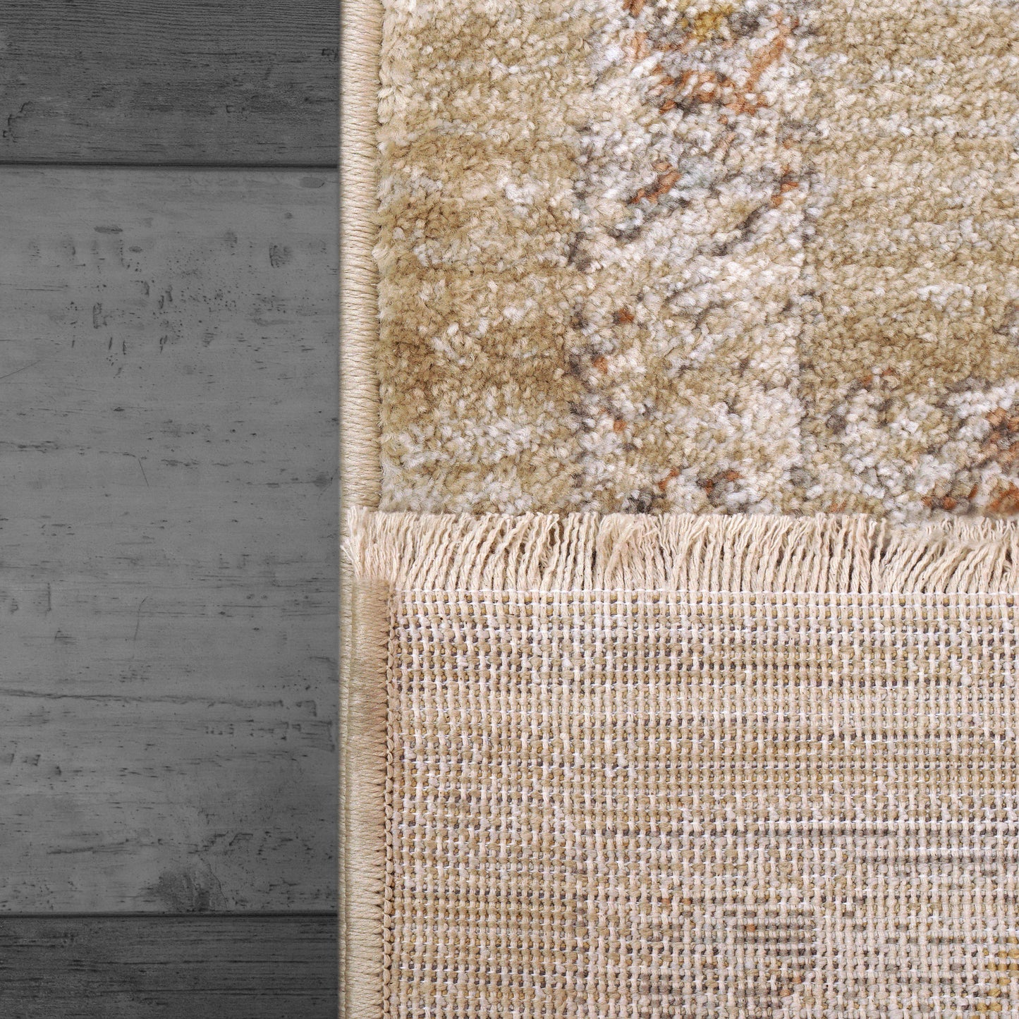 Rojin Transitional Grey/Beige/Multi Oriental Low Pile Rug