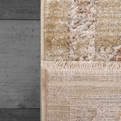Rojin Transitional Grey/Beige/Multi Oriental Low Pile Rug