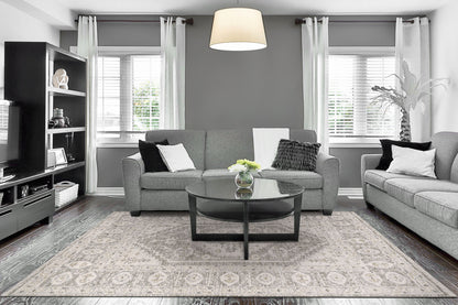 Calypso Traditional Ivory/Grey Bohemian Medium Pile Rug