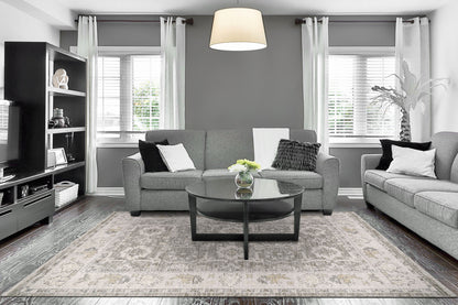 Calypso Transitional Ivory/Grey Bohemian Medium Pile Rug
