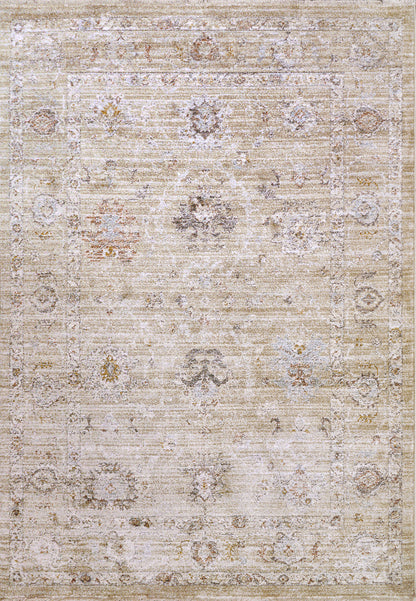 Rojin Transitional Grey/Beige/Multi Oriental Low Pile Rug