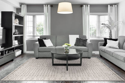 Calypso Transitional Ivory/Grey Bohemian Medium Pile Rug