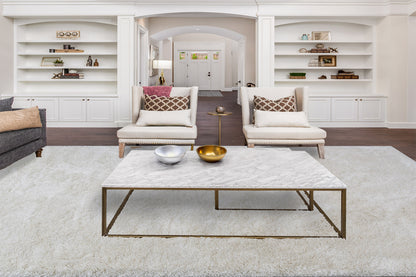 Venice Modern Cream Solid Shag Rug