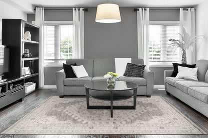 Calypso Traditional Ivory/Grey Bohemian Medium Pile Rug