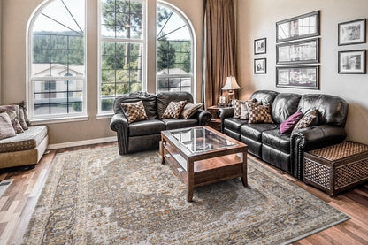 Rojin Traditional Grey/Dark Grey Oriental Low Pile Rug