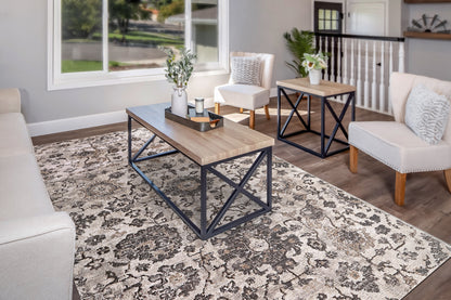 Riley Transitional Grey/Beige Floral Medium Pile Rug