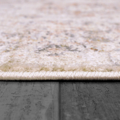 Rojin Transitional Grey/Beige/Multi Oriental Low Pile Rug