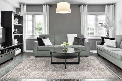 Calypso Transitional Ivory/Grey Bohemian Medium Pile Rug