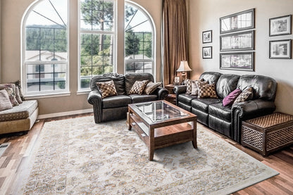 Rojin Transitional Grey/Beige/Multi Oriental Low Pile Rug
