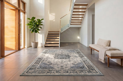 Ancient Garden Traditional Silver/Blue Distressed Medium Pile Rug