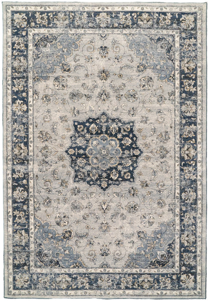 Ancient Garden Traditional Silver/Blue Distressed Medium Pile Rug