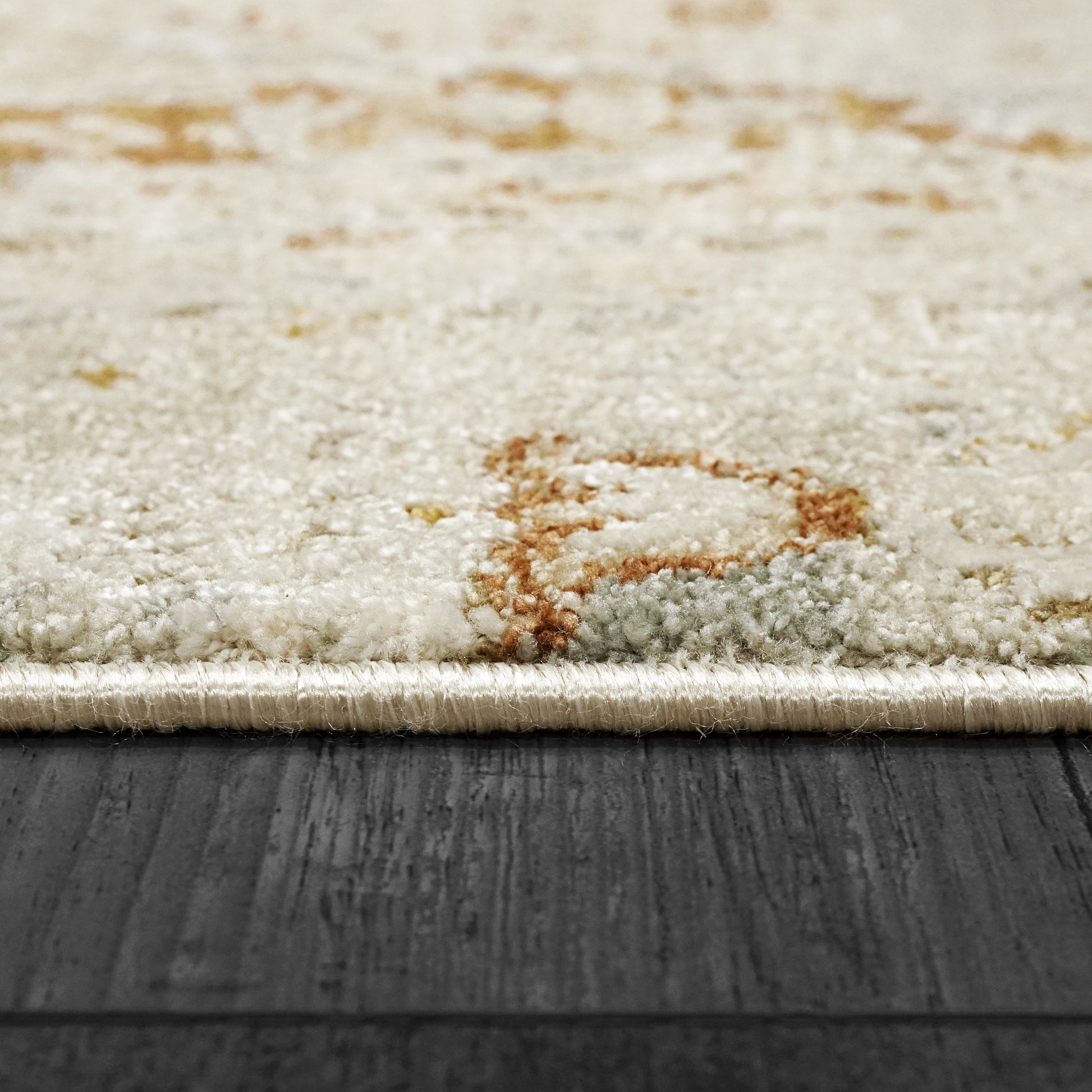 Annalise Transitional Beige/Multi Oriental Medium Pile Rug