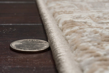 Atlas Transitional Beige Damask Medium Pile Rug
