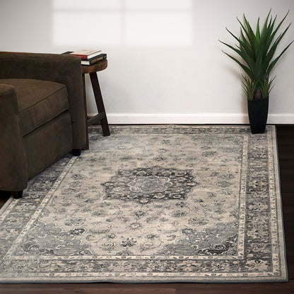 Ancient Garden Traditional Silver/Grey Distressed Medium Pile Rug