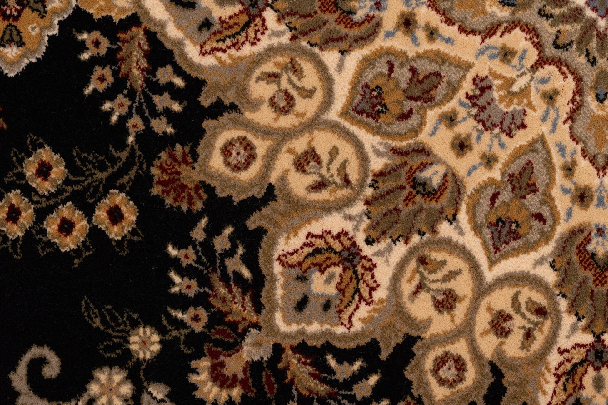 Brilliant Traditional Black Classic Medium Pile Rug