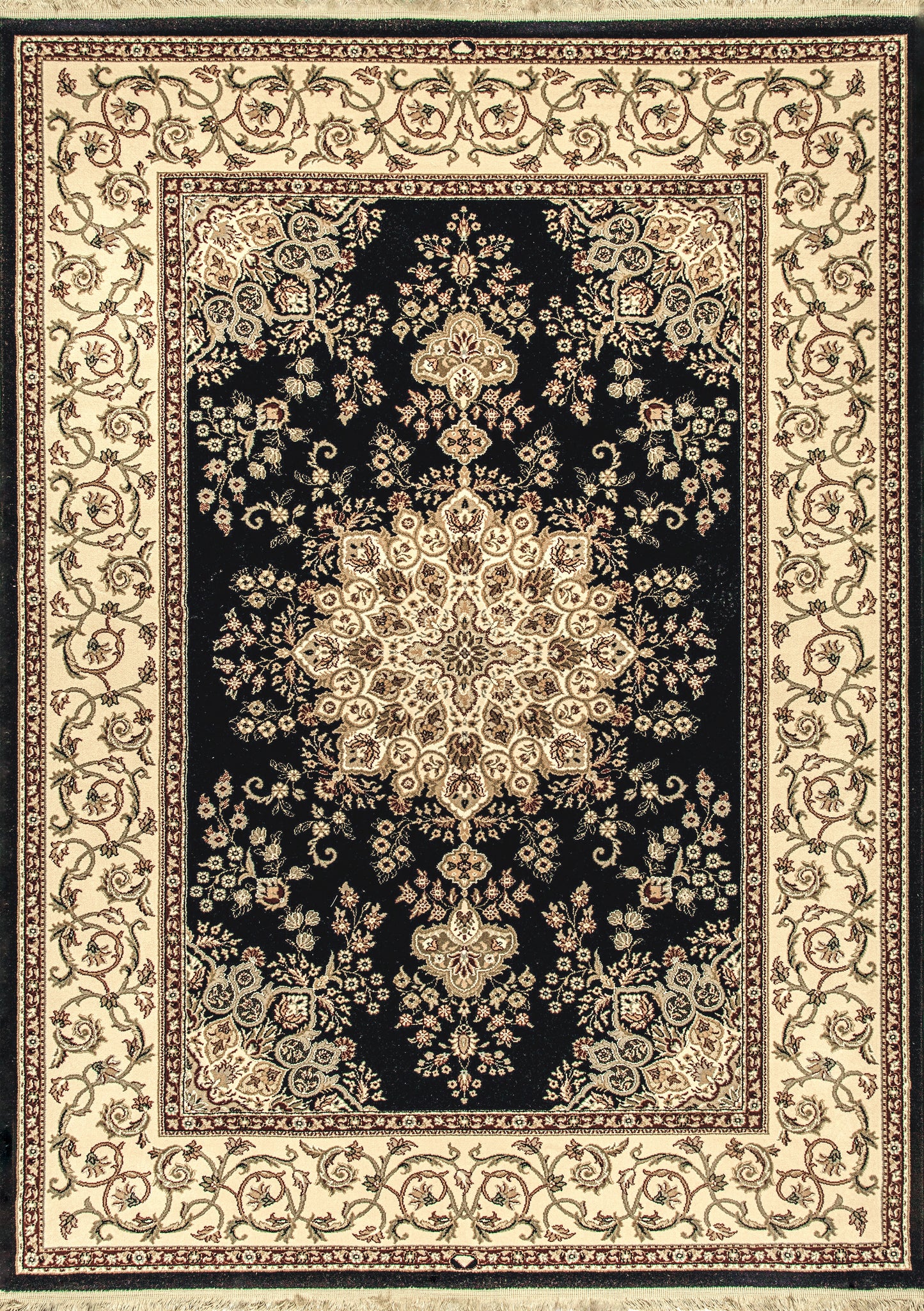 Brilliant Traditional Black Classic Medium Pile Rug