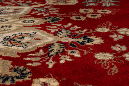 Brilliant Traditional Red Classic Medium Pile Rug
