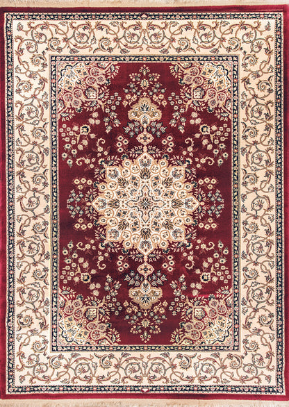 Brilliant Traditional Red Classic Medium Pile Rug
