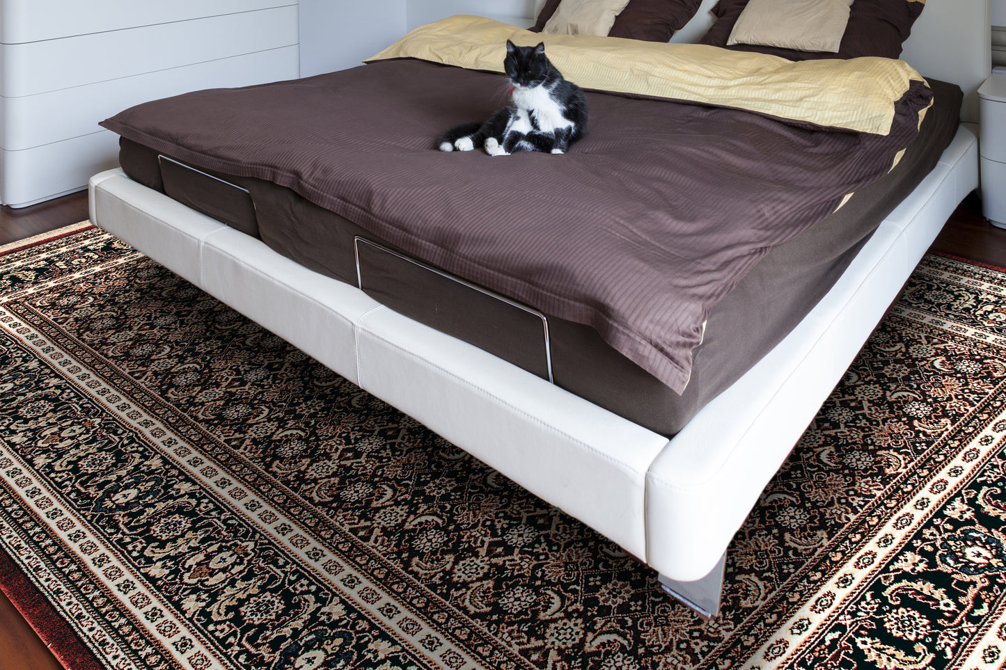Brilliant Traditional Red Classic Medium Pile Rug