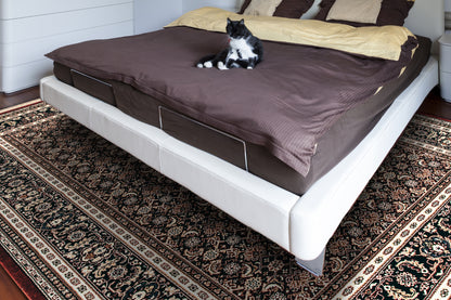 Brilliant Traditional Red Classic Medium Pile Rug