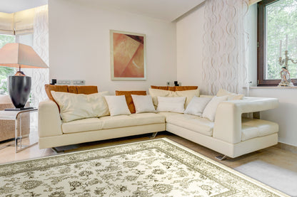 Brilliant Traditional Ivory Classic Medium Pile Rug
