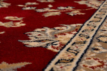 Brilliant Traditional Red Classic Medium Pile Rug