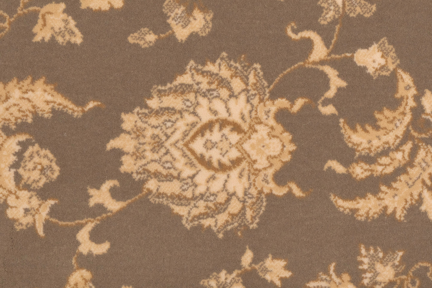 Brilliant Traditional Brown Classic Medium Pile Rug