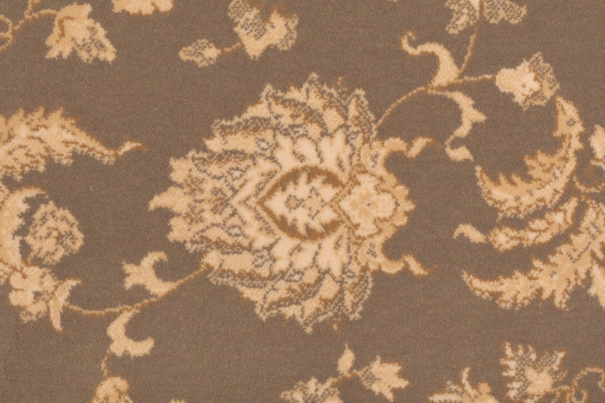 Brilliant Traditional Brown Classic Medium Pile Rug