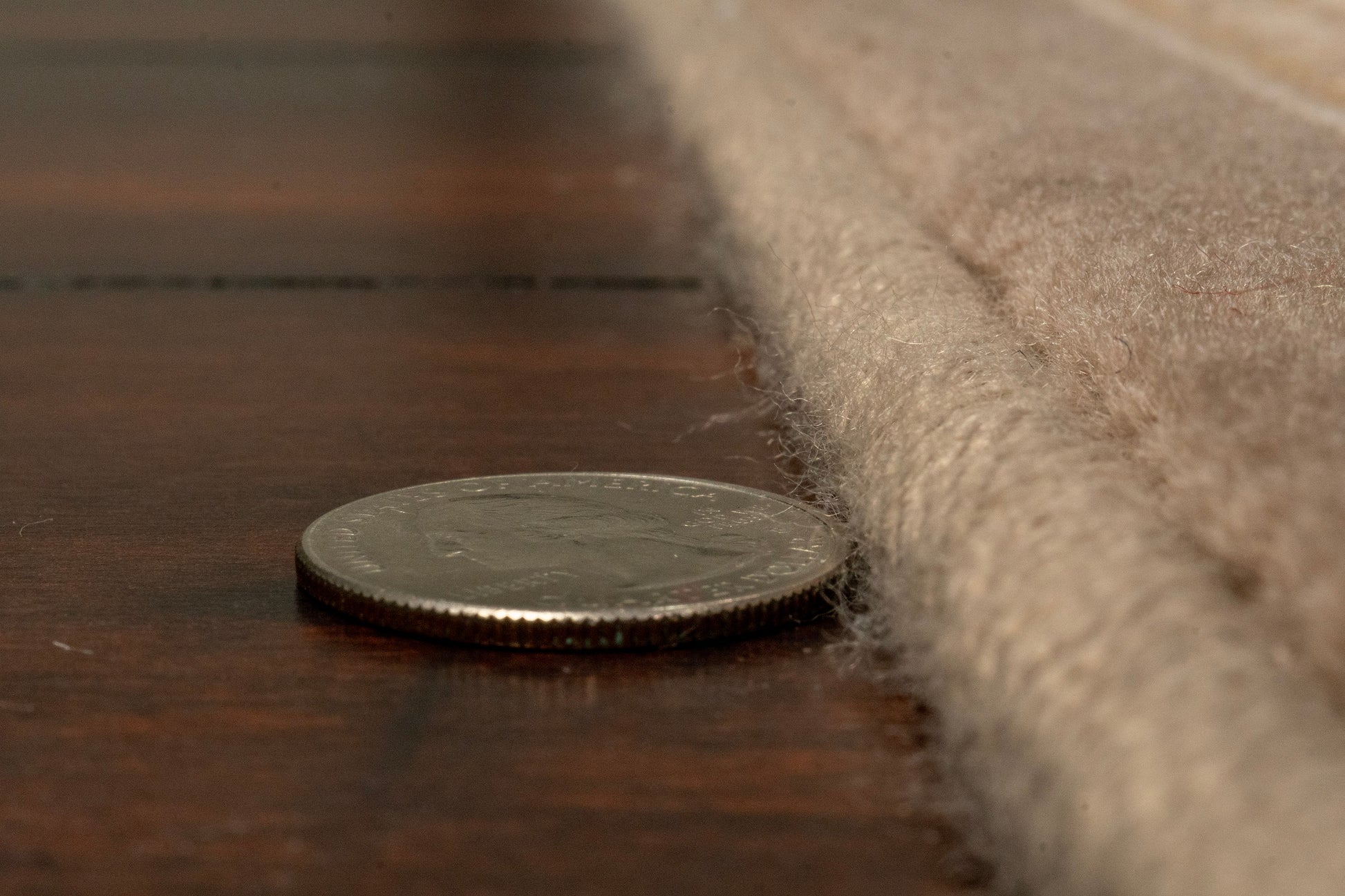 Brilliant Traditional Brown Classic Medium Pile Rug
