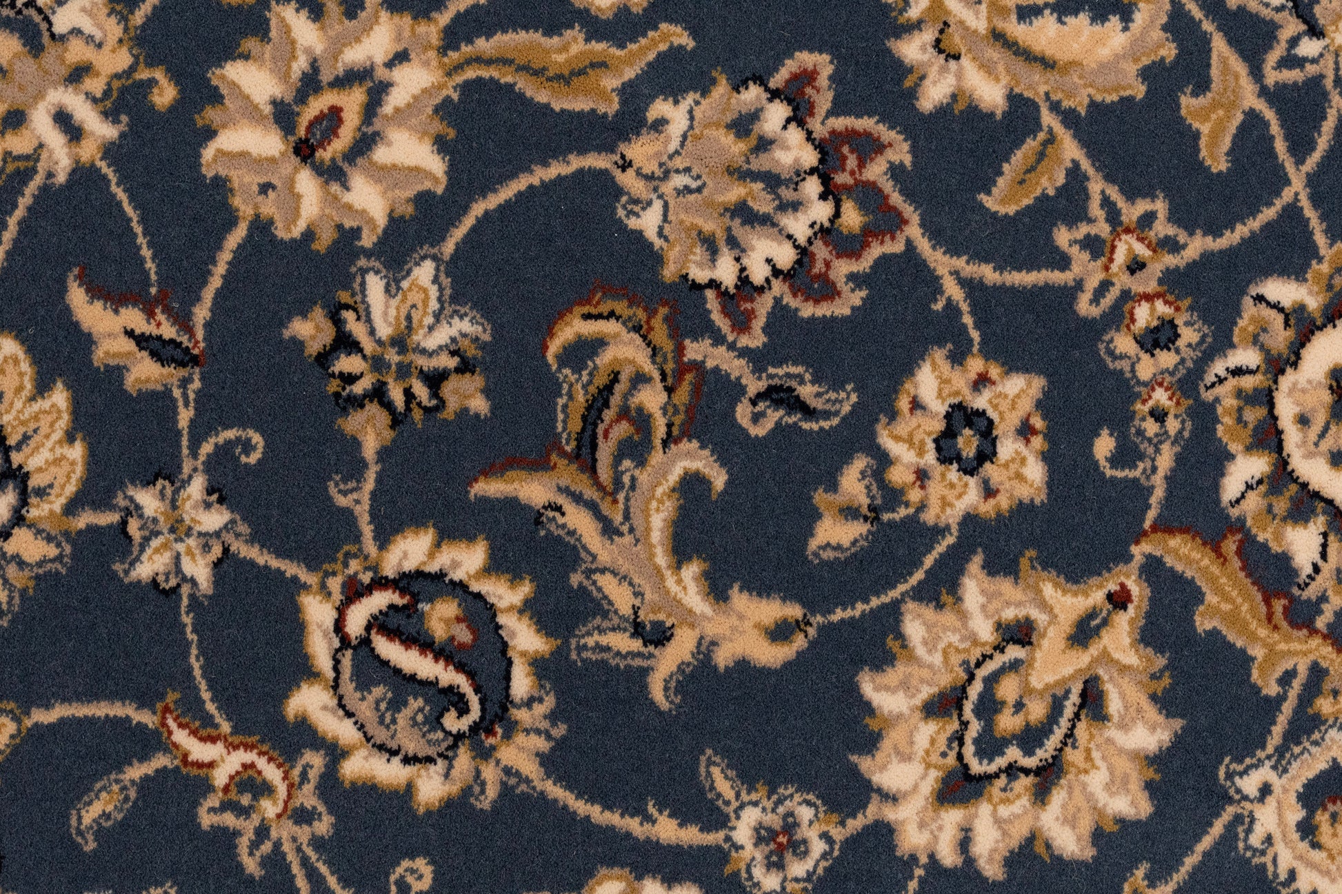 Brilliant Traditional Blue Classic Medium Pile Rug