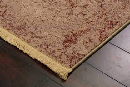 Brilliant Traditional Beige Distressed Medium Pile Rug