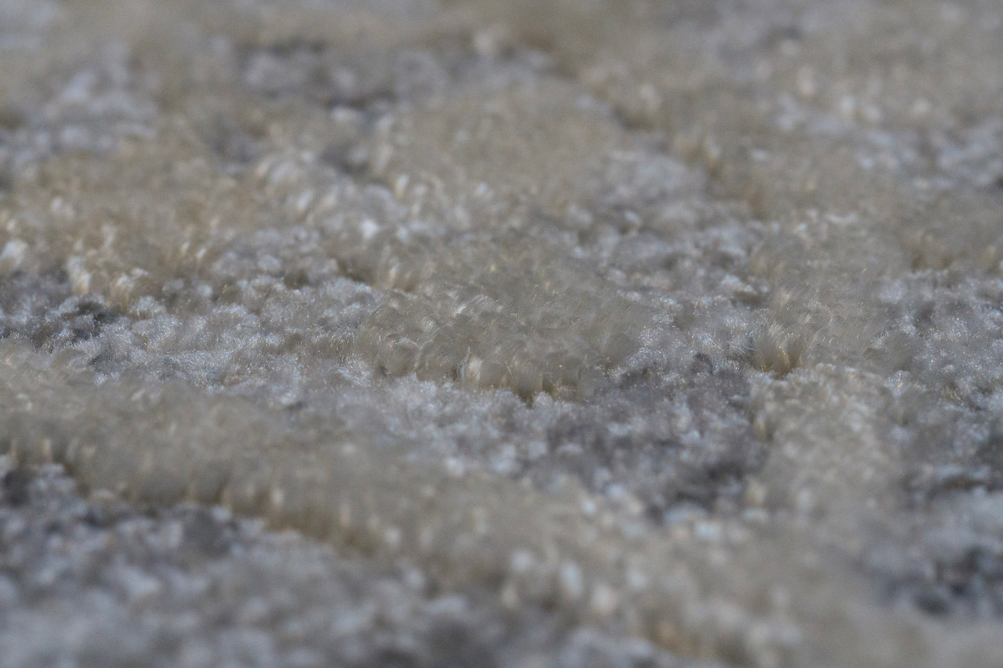 Canyon Traditional Grey/Cream Floral Medium Pile Rug
