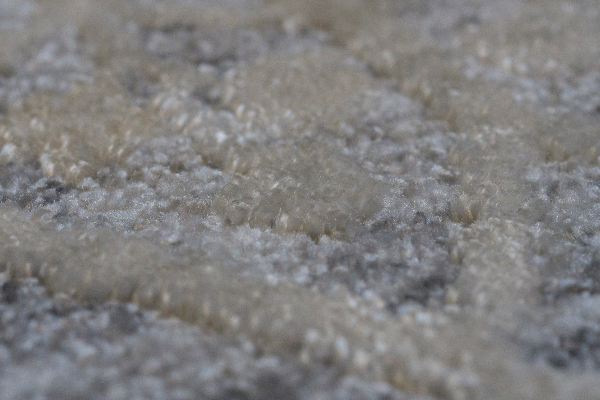 Canyon Traditional Grey/Cream Floral Medium Pile Rug