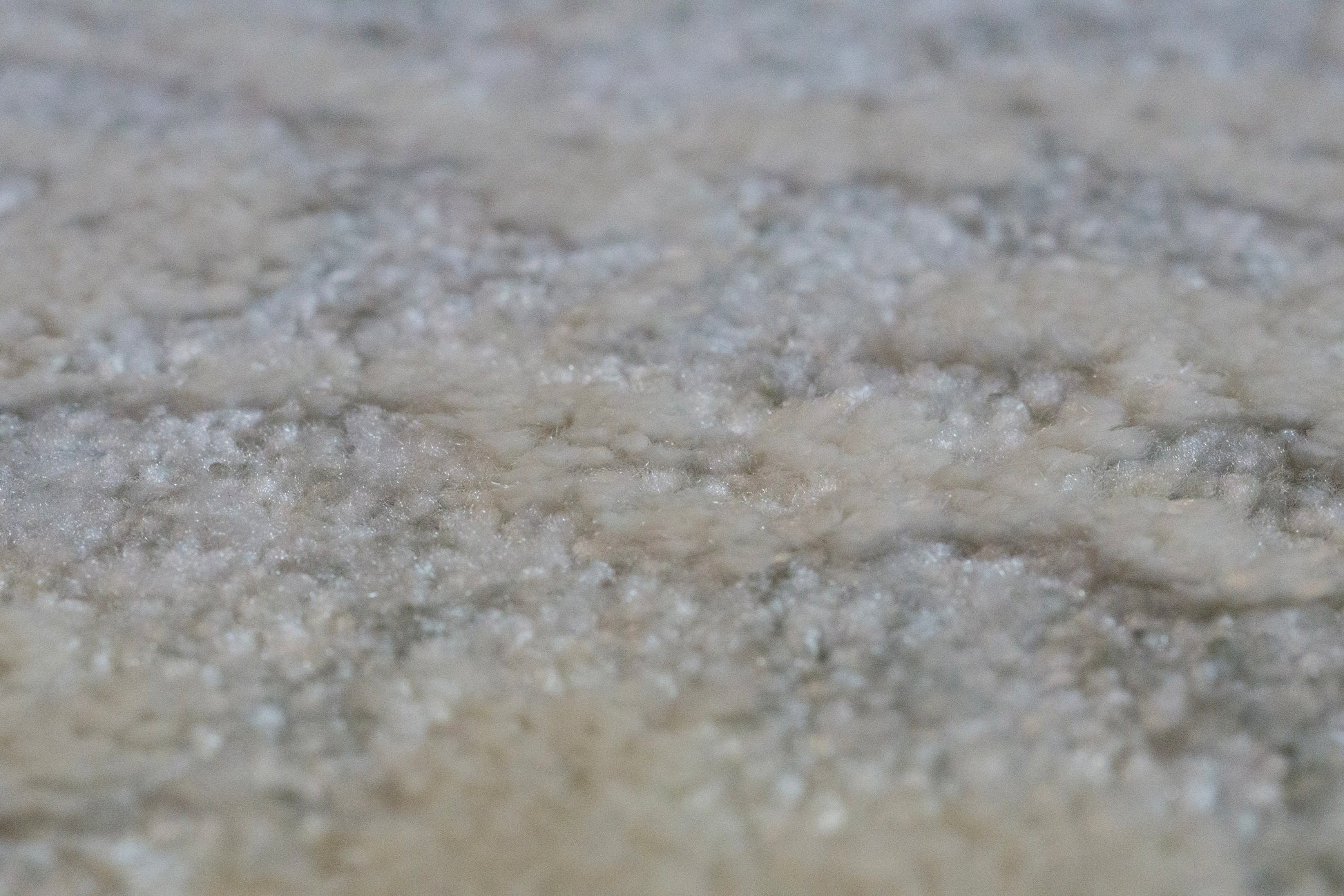 Canyon Modern Grey/Cream Floral Medium Pile Rug