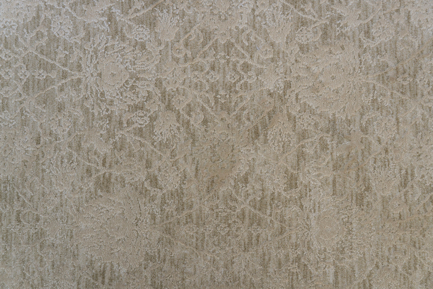 Canyon Traditional Beige/Light Beige Floral Medium Pile Rug