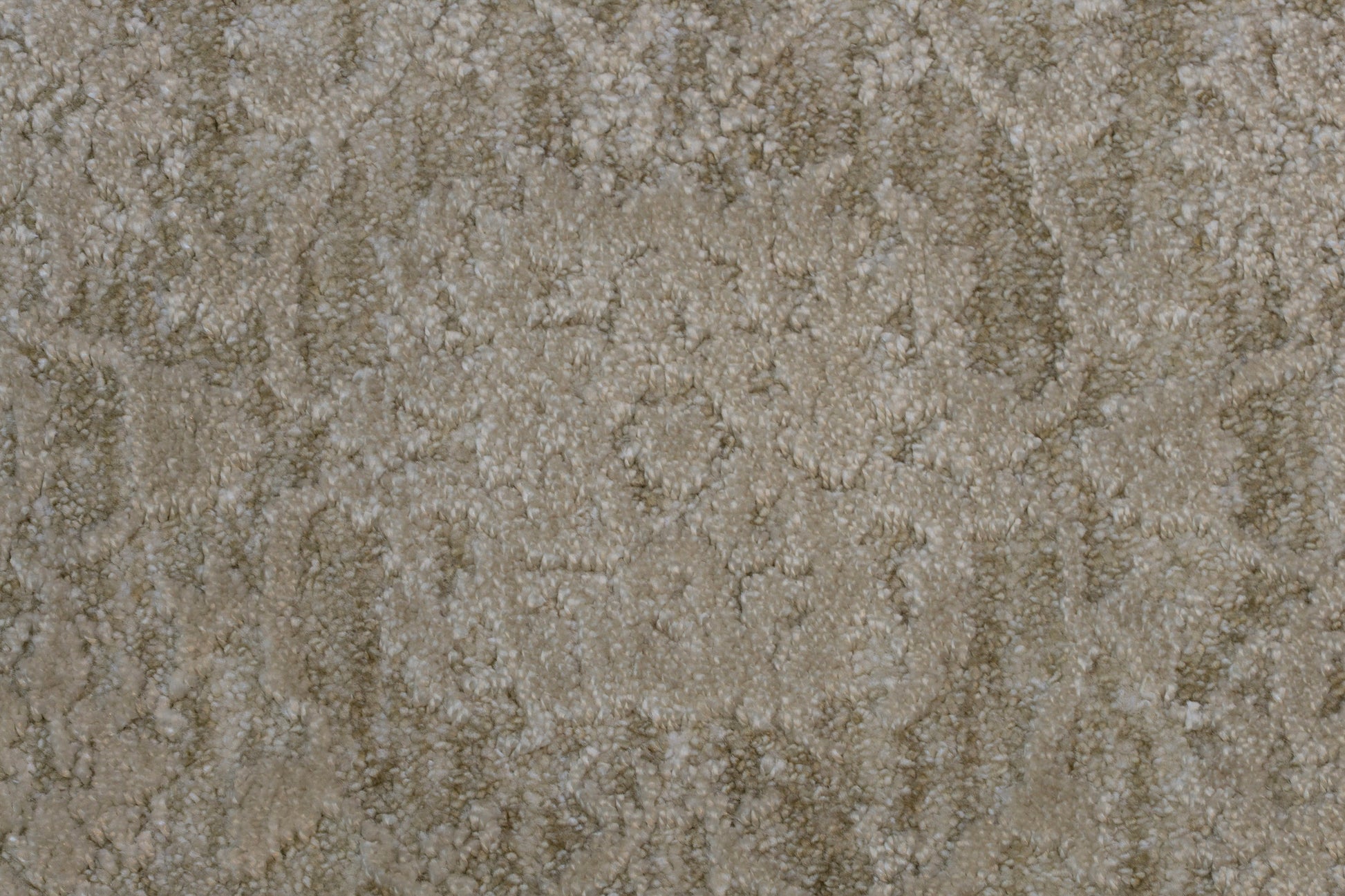 Canyon Traditional Beige/Light Beige Floral Medium Pile Rug
