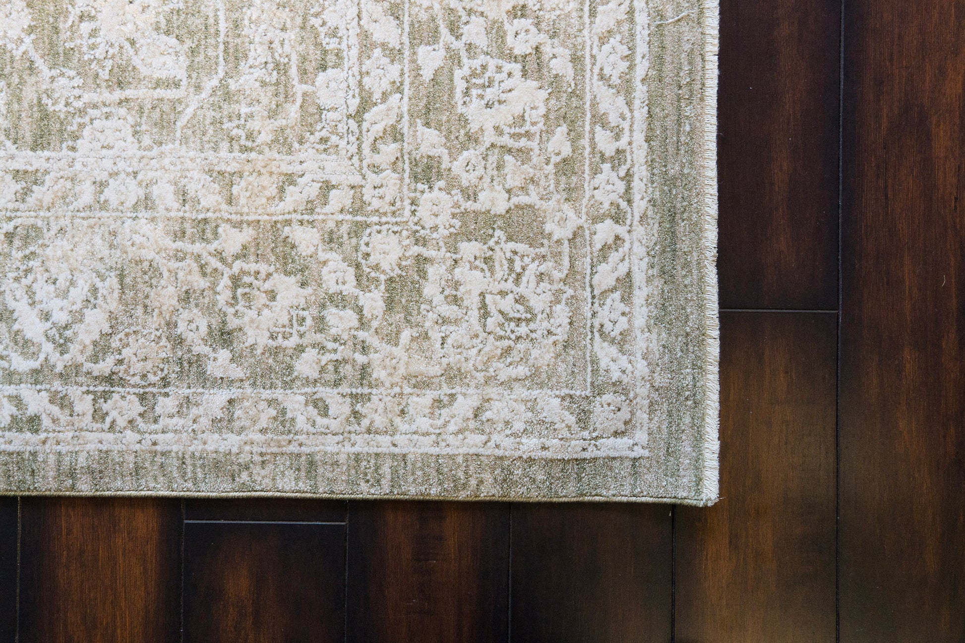 Canyon Traditional Beige/Light Beige/Cream Floral Medium Pile Rug
