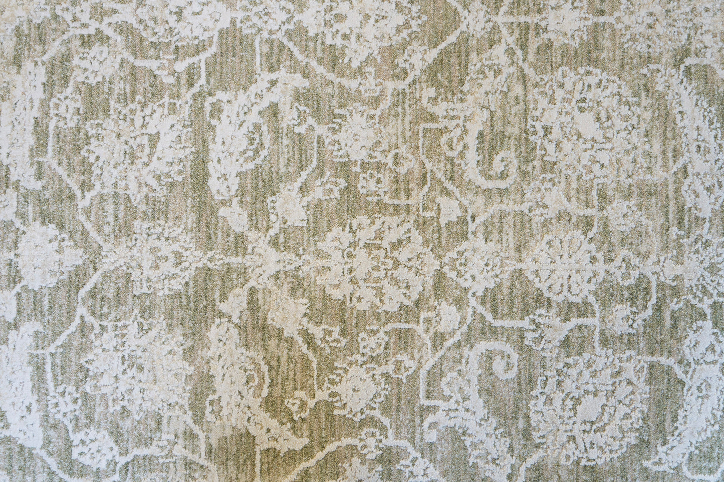 Canyon Traditional Beige/Light Beige/Cream Floral Medium Pile Rug