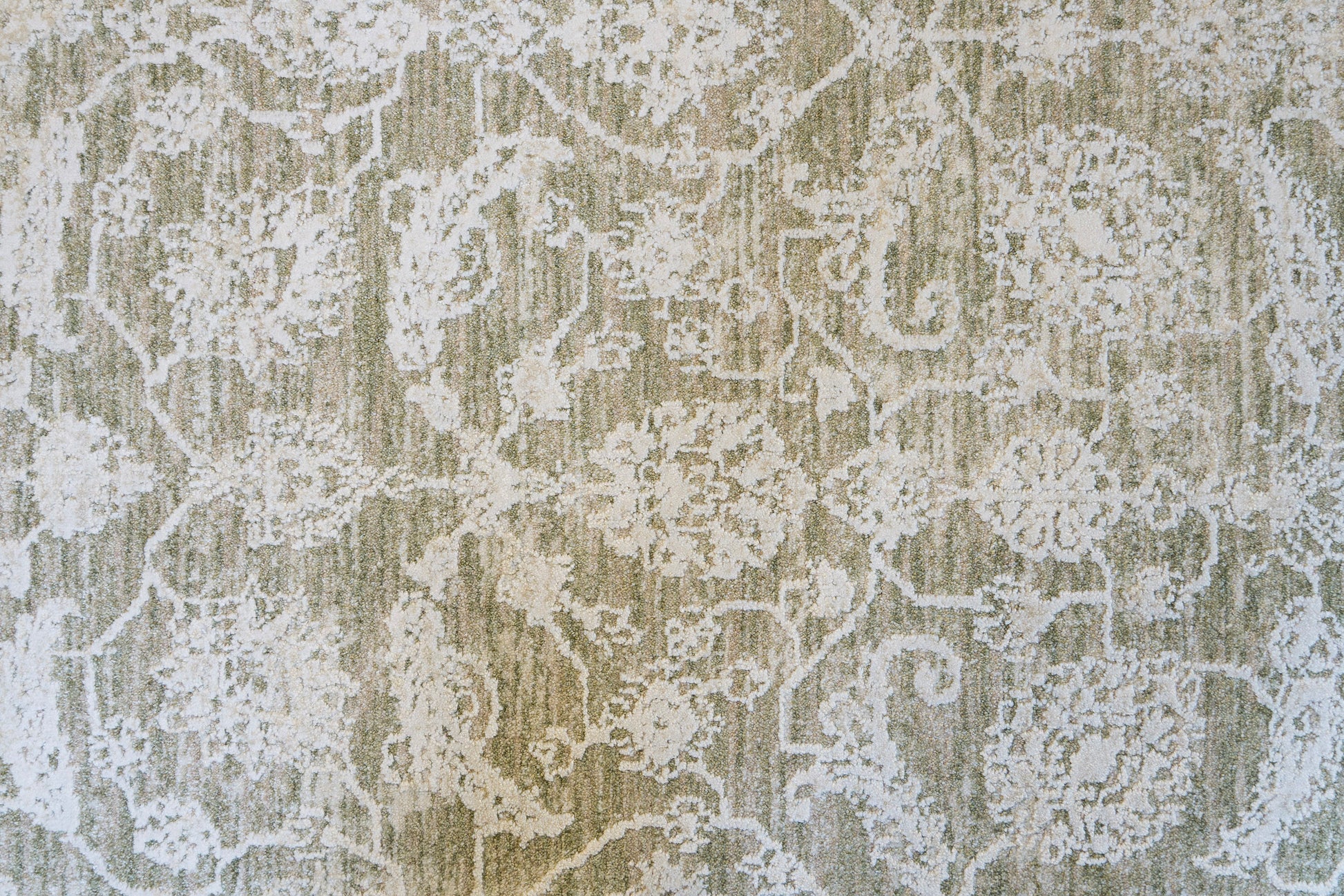 Canyon Traditional Beige/Light Beige/Cream Floral Medium Pile Rug