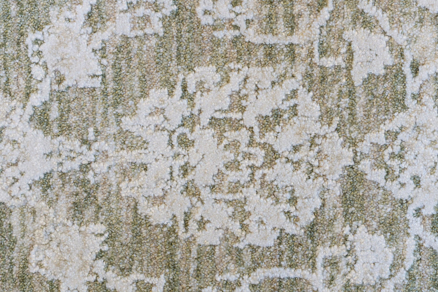 Canyon Traditional Beige/Light Beige/Cream Floral Medium Pile Rug