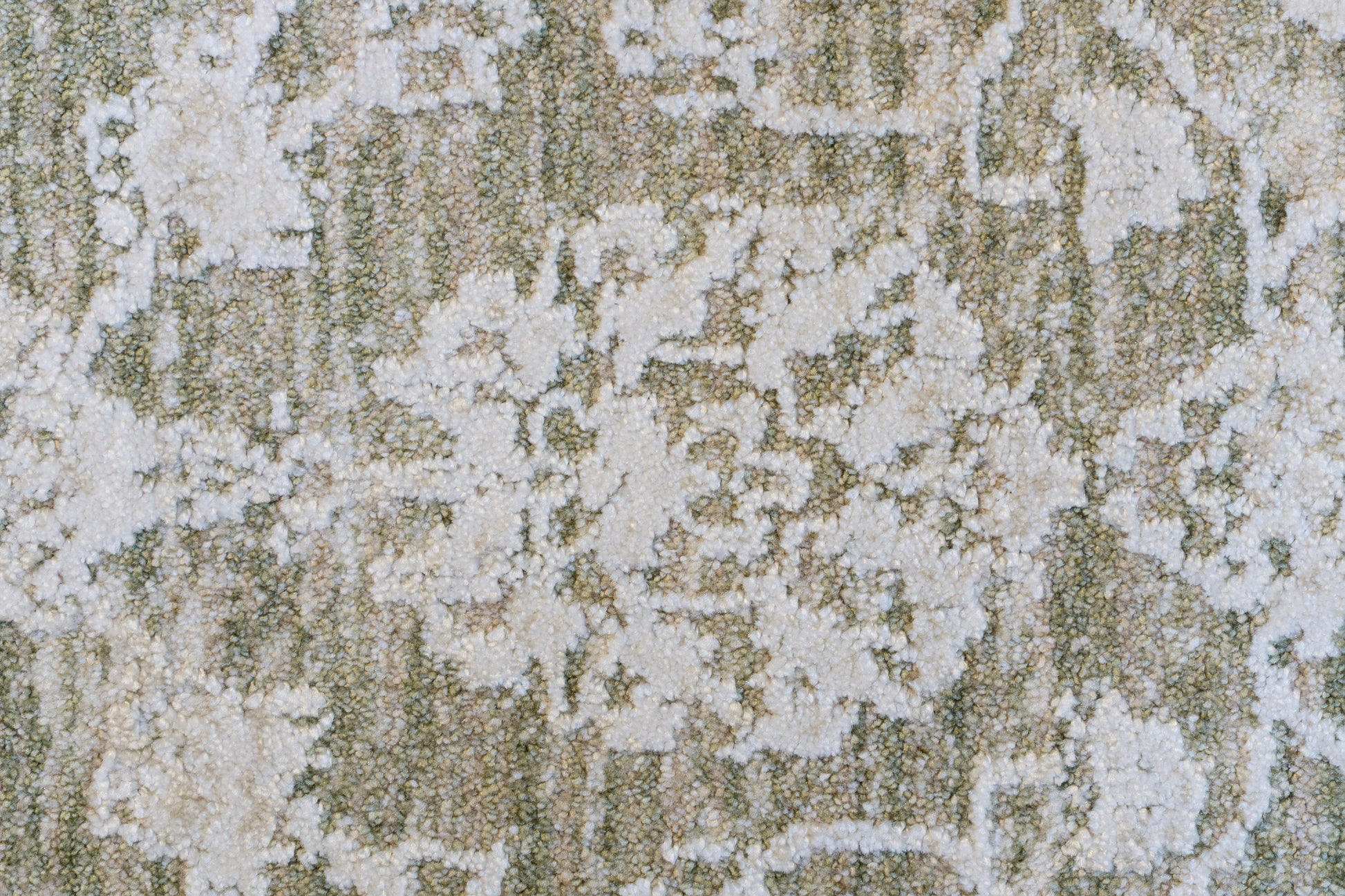 Canyon Traditional Beige/Light Beige/Cream Floral Medium Pile Rug