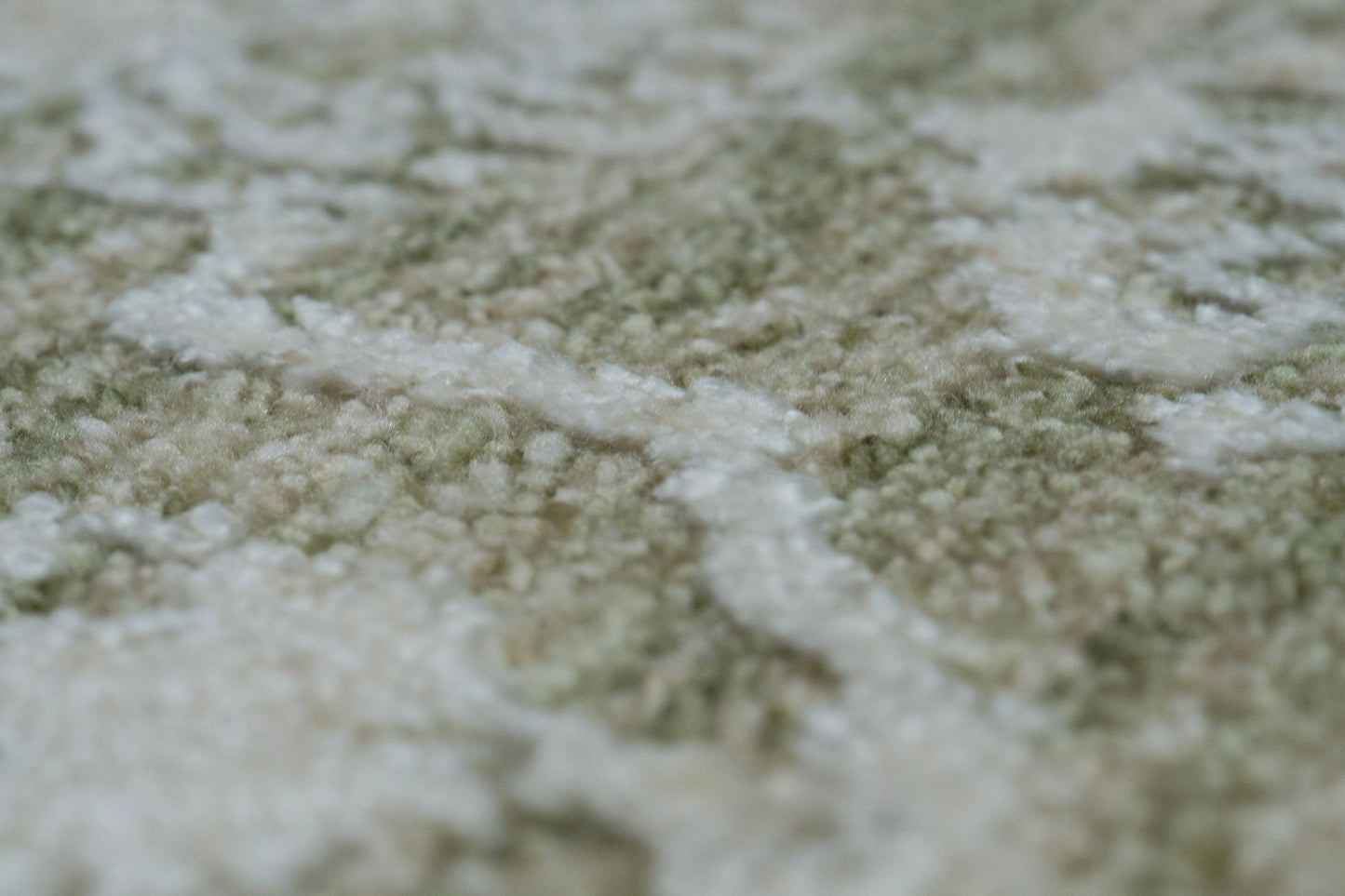 Canyon Traditional Beige/Light Beige/Cream Floral Medium Pile Rug