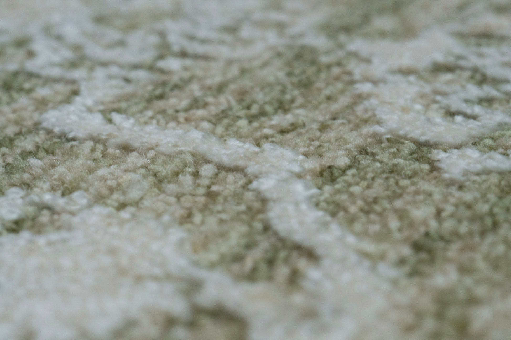 Canyon Traditional Beige/Light Beige/Cream Floral Medium Pile Rug