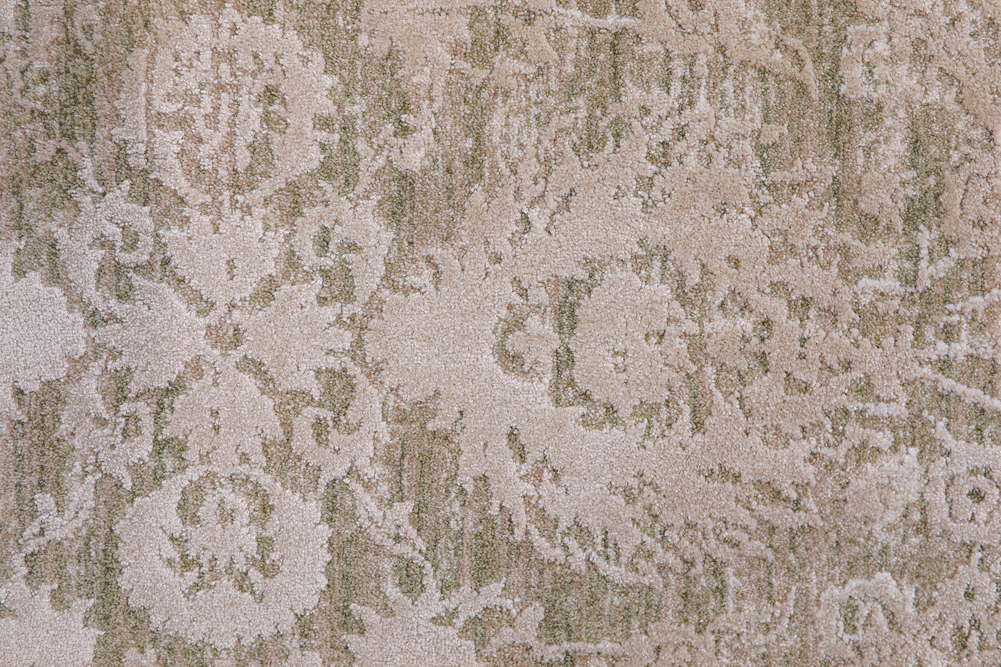Canyon Transitional Beige/Sage Floral Medium Pile Rug