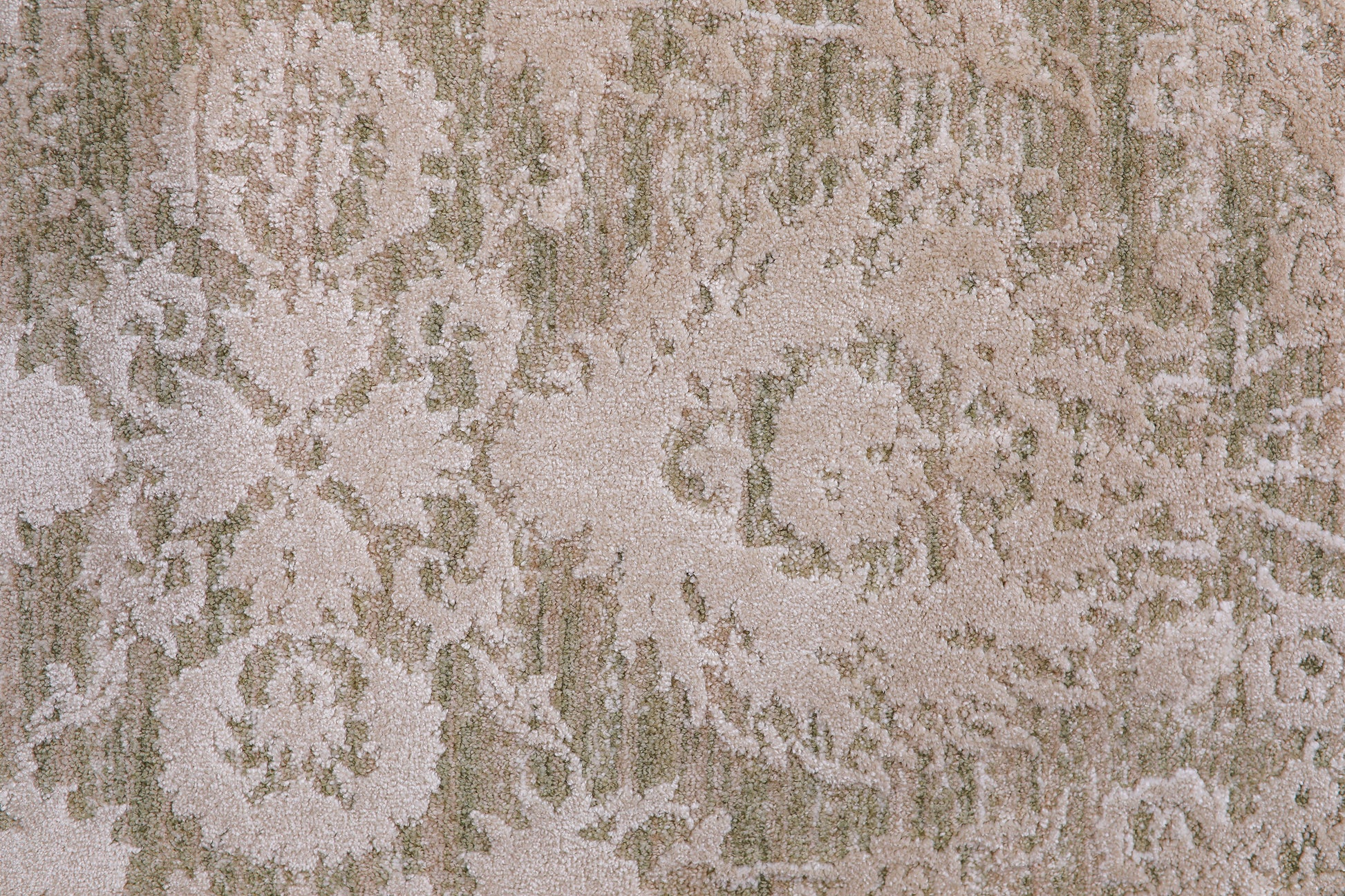 Canyon Transitional Beige/Sage Floral Medium Pile Rug