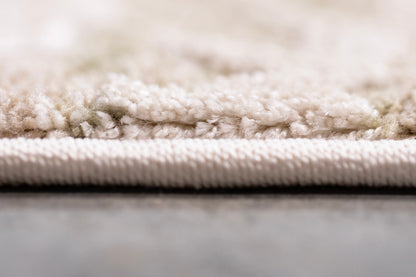 Canyon Transitional Beige/Sage Floral Medium Pile Rug
