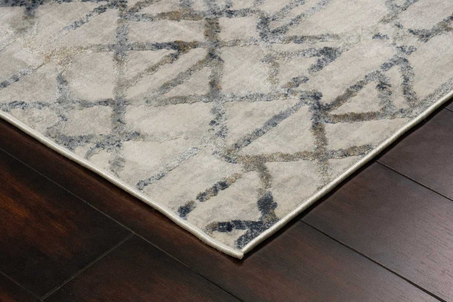 Castilla Modern Grey/Multi Distressed Medium Pile Rug